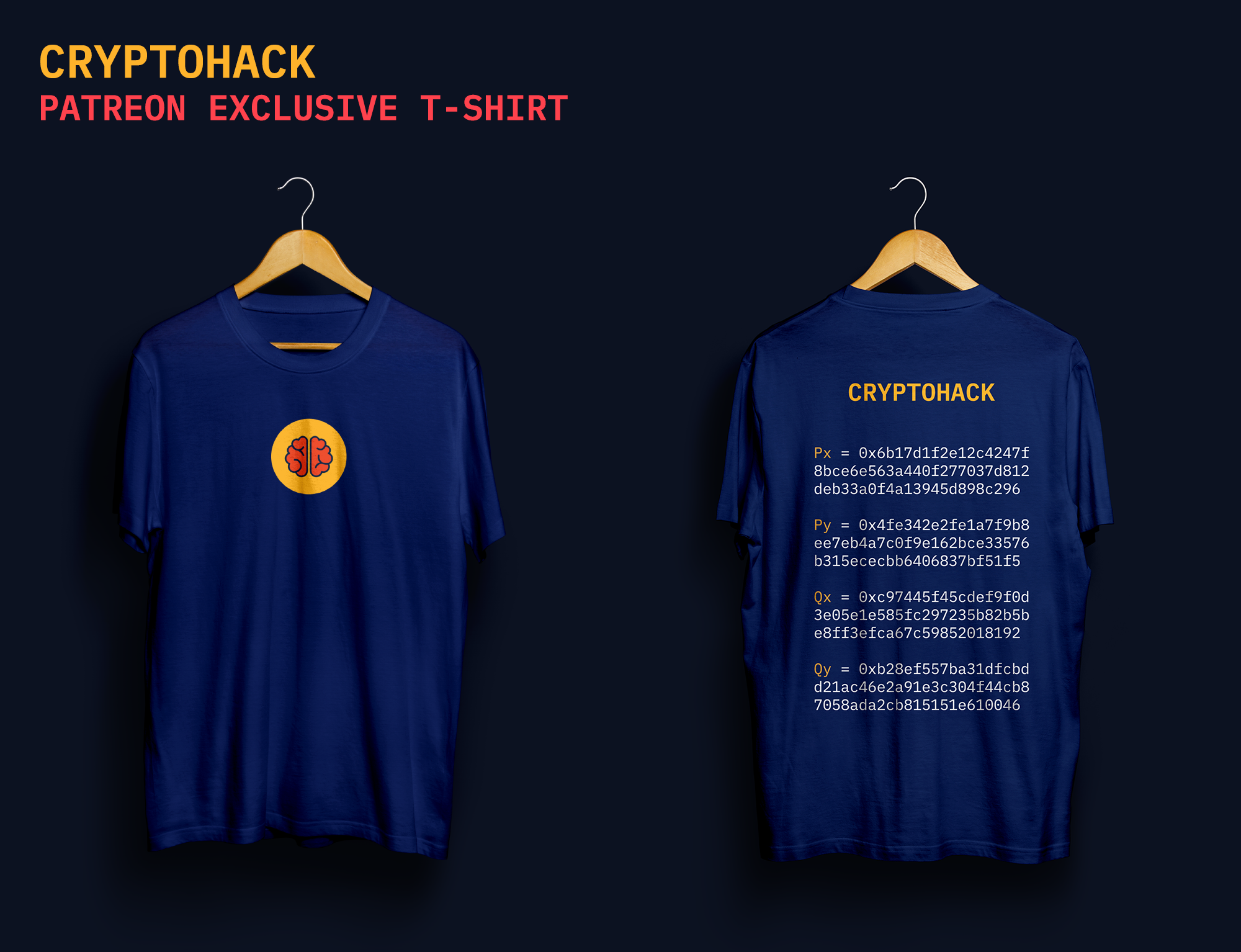 CryptoHack t-shirt